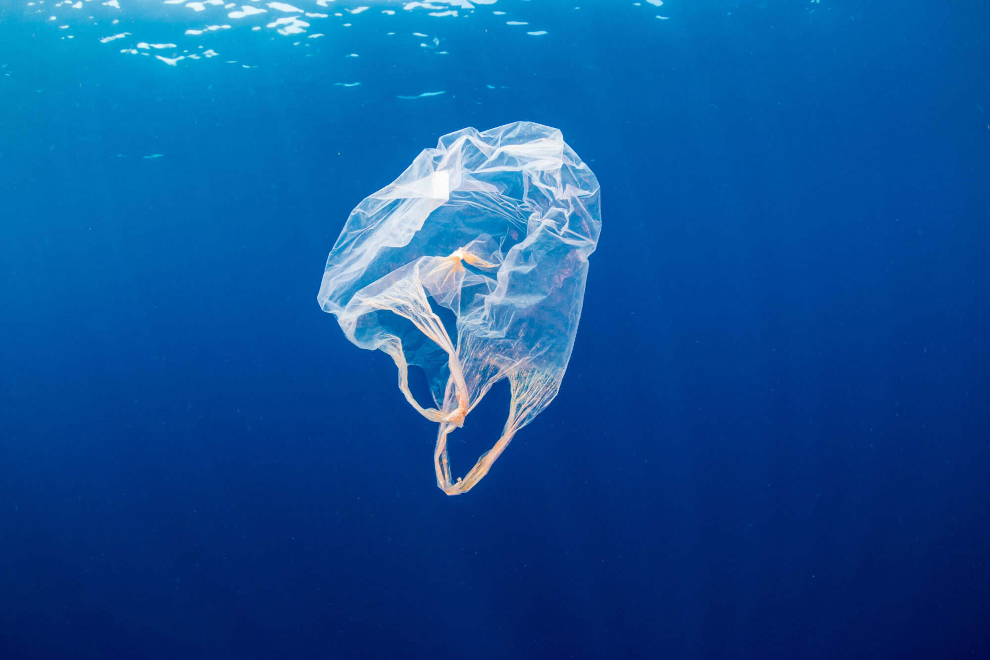 サステナビリティとは（再生プラスチック・煙のない社会）